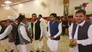 Hayatullah stanikzai wedding 2019