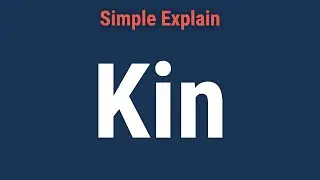 Kin: What it Means, How it Works, Future