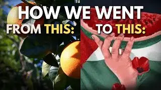 Before Watermelons, It Was Oranges: The Story of Palestine&rsquo;s Stolen Symbol