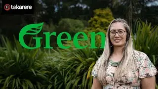 Green&rsquo;s MP Huhana Lyndon talks politics
