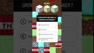 🤔POP-QUIZ PARTIE 1｜QUIZ MINECRAFT ! (Semaine 4)