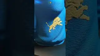Detroit Lions Koozie & Pen Holder #3dprinting #bambulab #h2c #makerworld #custommodel #3dmodeling