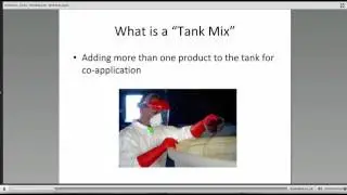 Effect of Tank-mix Pesticide Combinations on Bees