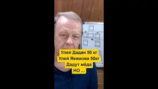 Какой улей выбрать начинающему пчеловоду Дадан, Рут или лежак Якимова