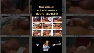 Nine Stages of Instinctive Newborn Behavior after Birth!!! #newborn #breastfeeding #reflexes