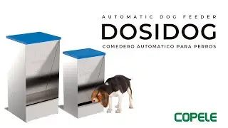 Comedero Autom&aacute;tico para Perros 