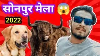 Sonepur mela 2022 / सोनपुर मेला 2022 / एशिया का सबसे बड़ा पशु मेला 😱#sonpurmela2022 #सोनपुरमेला