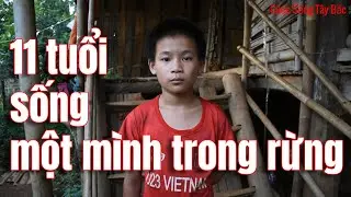 11 TUỔI SỐNG 1 MÌNH TRONG CĂN NHÀ RÁCH NÁT GIỮA BÌA RỪNG