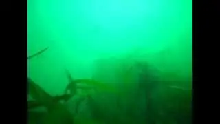 Rathlin O Beirne Gully Dive