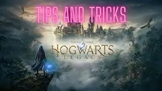 Hogwarts Legacy Serpentine Beast Window Location