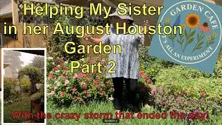 Helping My Sister in Her August Houston Garden Part 2 CRAZY STORM!