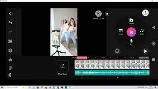 How To Change Or Delete Audio Track In KineMaster