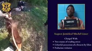 Chambers County deputies apprehend Kentucky fugitive after foot chase along I-10 with help of K9