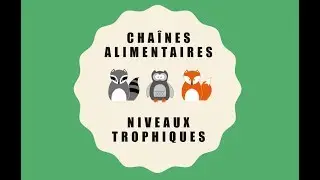 Les chaînes alimentaires et les niveaux trophiques