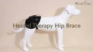 How to use PetieTec Heated Therapy Hip Brace