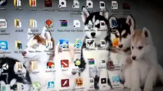 Тесты ATI Radeon Mobile HD5650 + i5 430m 4GB RAM