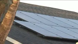 Homeowners switch to solar before Florida’s net metering bill goes into effect