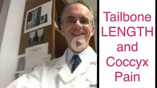 Tailbone LENGTH and Coccyx  Pain?