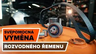 Jak vyměnit sada rozvodového řemene a vodní pumpa na AUDI A4 (B7) [NÁVOD AUTODOC]