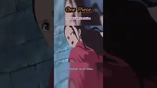 One Piece | The Bold Confrontation