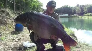 carpfishing in cava..carpa specchi di  20 chili