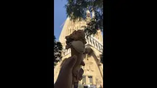 BARCELONA 2022
