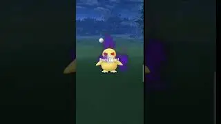 Grunt give me his most powerful shadow pokemon #shorts #viral #youtubeshorts #shortsfeed