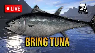 Trolling Sea, Fishing The Big Sharks🎣RF4