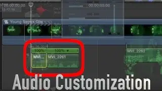 High Pitch and Low Pitch Audio Effect| Final Cut Pro X Tutorial| Saulstinator