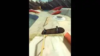 [True Skate] Wtf