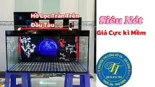 Hồ LỌC TRÀN TRÊN ĐẦU TÀU Dán Siêu Nét Căng - Giá rẻ cho AE Tập Chơi-TRỌNGTOANAQUARIUM