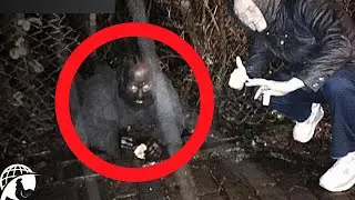 Scary Urban Legends That Were Caught on Camera