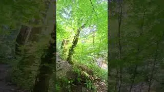 Свирское ущелье. Лазаревское. Сочи. Август 2025. INSTA360 X5. Ч31.