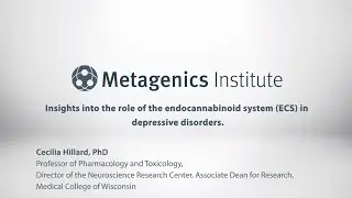 Endocannabinoid System (ECS) Signaling in Depressive Disorders