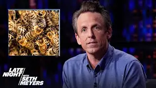 Best-Case Scenario, Worst-Case Scenario and One with Bees
