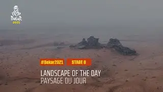 #DAKAR2021 - Stage 8 - Sakaka / Neom - Landscape of the Day
