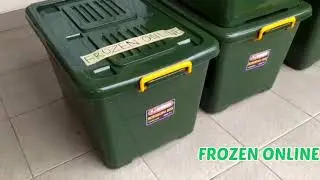 Box Container ala Shinpo CB 70 Solusi Storage Box Penyimpanan Murah Berkualitas