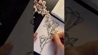 Cross hatching technique #art #drawing #shorts