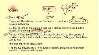 MAHUA TREE [UPSC, EPFO, PCS, EO/AO, APFC, CDS, CAPF, GEOSCIENTIST]