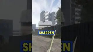 The MOST Useful DayZ Item 🪙