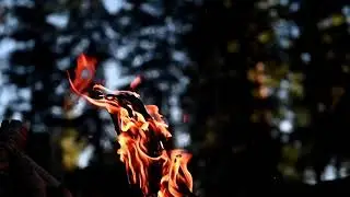 Campfire Fire Flames Wood Burn Warm Heat Glowing | stock Footage |