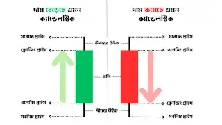How read candle in Bangla candlestick ￼video Share market stock market in Bangla #sharemarket 