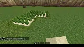 Mini Cactus Farm!