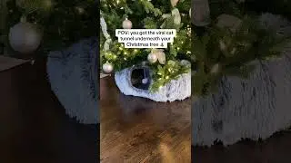 Cat Tunnel Under Christmas Tree Goes Viral &ndash; Keeps Cats Entertained & Trees Safe!