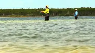 Tips for Trout Fishing in PCB