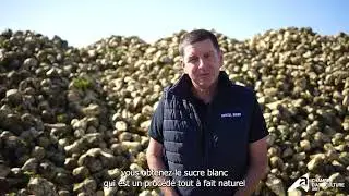 L'agriculture pour quoi ça pousse ? - CRISTAL UNION
