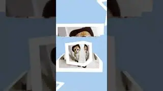rebonito el Michi tan hermoso