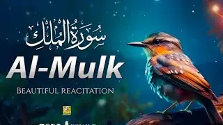 Surah Mulk Full | Surah Mulk Ki Tilawat |Surah Mulk complete