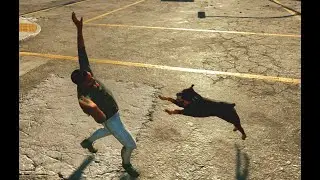 Watch Dogs 2 - Roaming Around (Part 4)