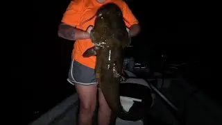 Cody 30th birthday Limb line ￼catfish tournament￼